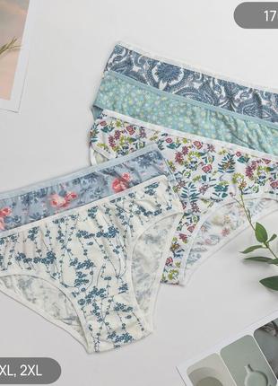 Набор трусиков женских nicoletta слипы норма | 5 шт.