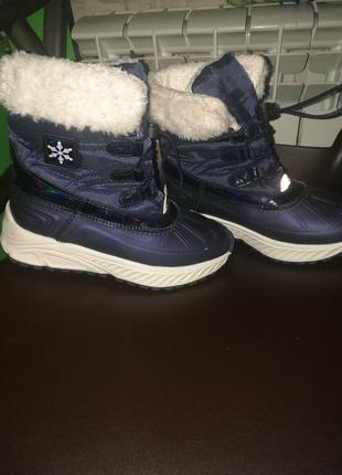 Зимние сапоги