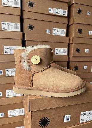 Угги ugg mini bailey стимулирует chestnut