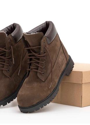 Timberland winter