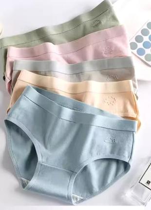 Набор трусиков 7 шт