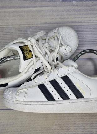 Кеды adidas superstar