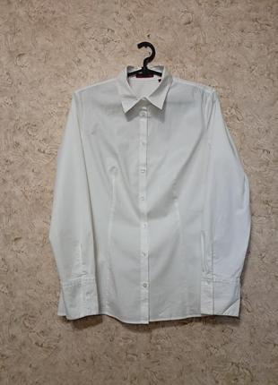 Базова бавовняна сорочка