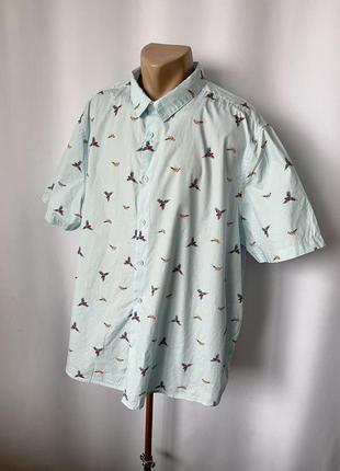 George голубая рубашка гавайка тенниска батал 3xl летняя пляжная принт попугаи птицы