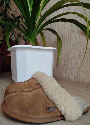 Женские кожаные пантофли (шлепанцы) ugg australia.