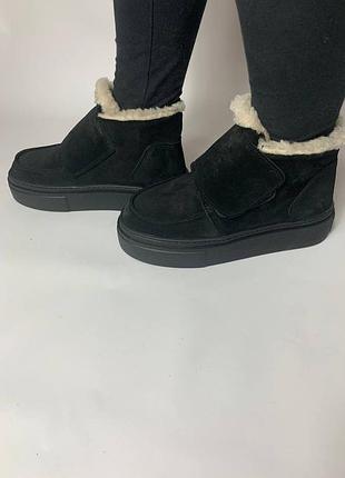 Уггі замшеві короткі чорні на липучці з натуральної замши ugg низькі натуральні 37 38 39 40 41