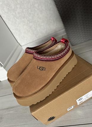Ugg tazz угги / уггі