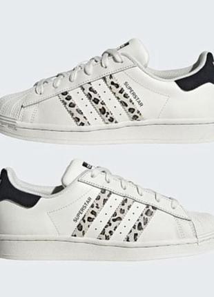 Кросівки adidas superstar