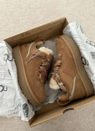Ugg lowmel boots premium уггі