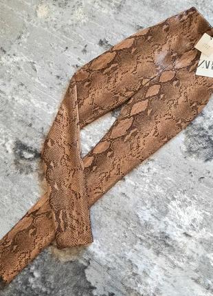 Штани брюки лосіни zara леопард