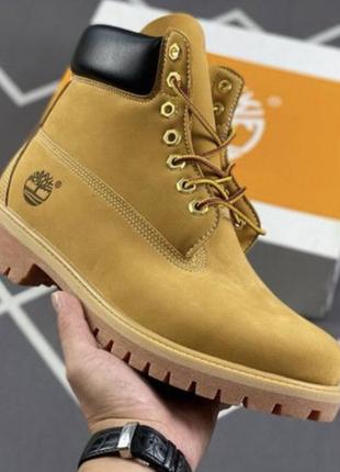 Черевики timberland