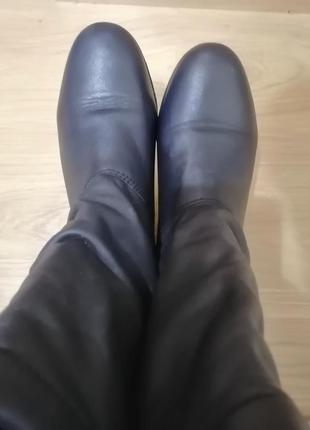 Утепленные сапоги ecco.