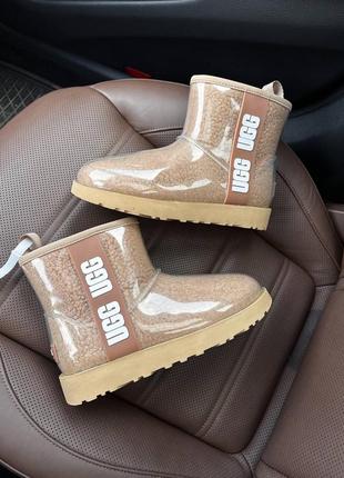 Уггі ugg classic mini clear beige  premium
