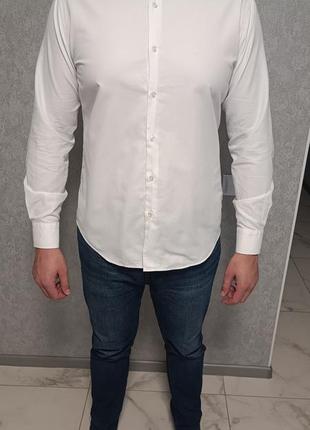 Рубашка мужская белая terino