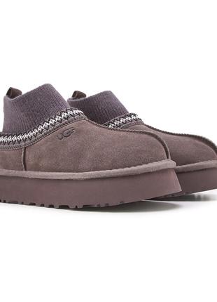 Tasman platform sock grey уггі угги жіночі