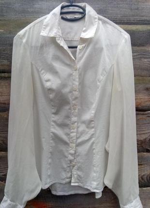 Модельированная блуза