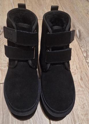 Черевики ugg