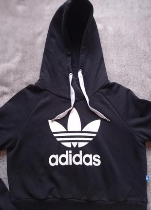 Укороченное худи adidas