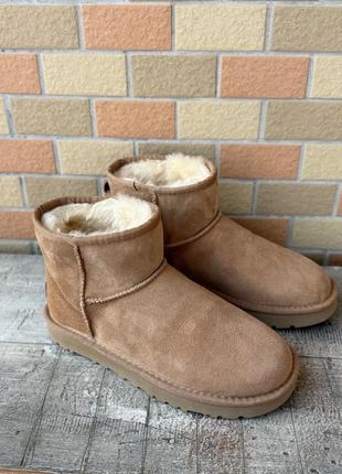 Ugg угги угі