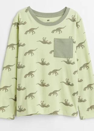 Трикотажный реглан лонгслив h&amp;m для мальчика 98026, динозавры