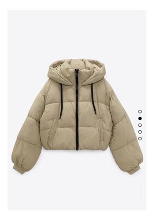 Бежева вкорочена куртка zara