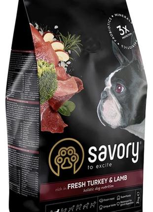 Сухий корм savory