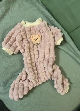 Костюмчик для маленькой собачки