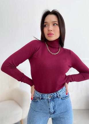 Водолазка с воротником бордовая, синяя