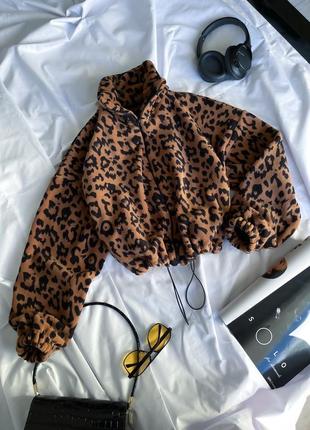 Зипка толстая