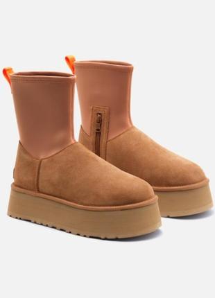 Женские угги Жіночі кеди ugg beven оригінал chestnut коричневые