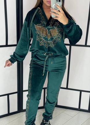 Велюровый костюм Камни стразы