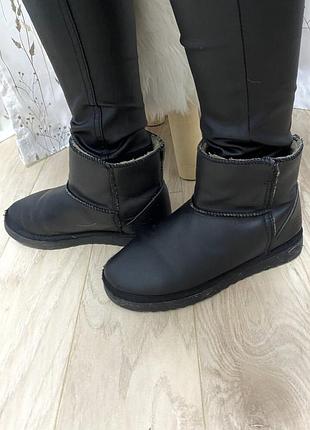 Кожаные угги braska 36-37