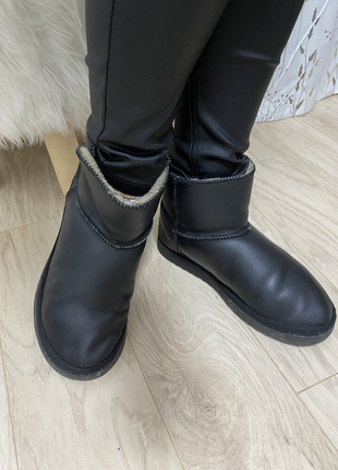 Кожаные угги braska 36-37