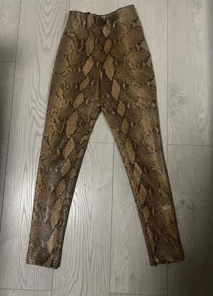 Лосіни zara