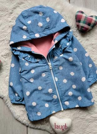 Вітровка 6-9 міс дівчина