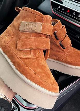 Женская зимняя обувь ugg