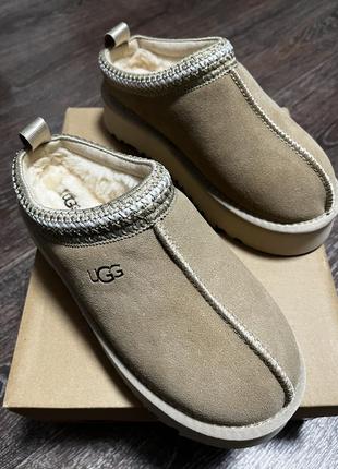 Ugg tazz