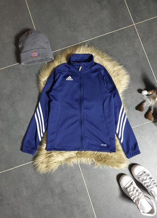 Олімпійка adidas