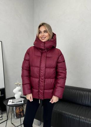 Зимова коротка куртка пуховик на блискавці з капюшоном