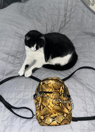 Рюкзак, під зміїнну шкіру