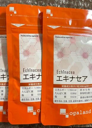 Экстракт эхинацеи 150 мг echinacea 60 капсул на 30 дней, япония