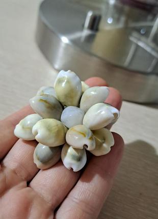 Брошка з черепашок брошка