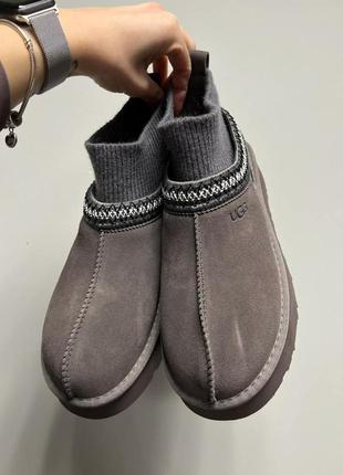 Угги угги угги ugg tazz tasman platform sock grey