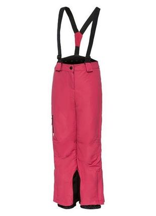 Лыжные брюки