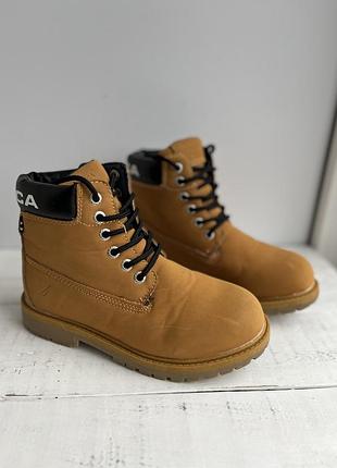 Черевики nautica унісекс