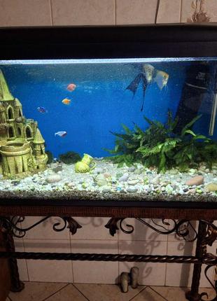 Продам  акваріум