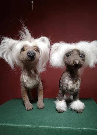 Китайская хозохлатая игрушка валевая собачка китайская хохлата