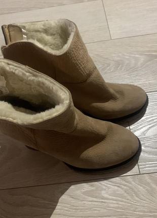 Крутые сапоги беж на каблуке