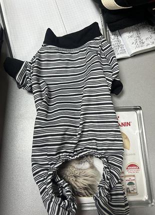 Піжама для собак