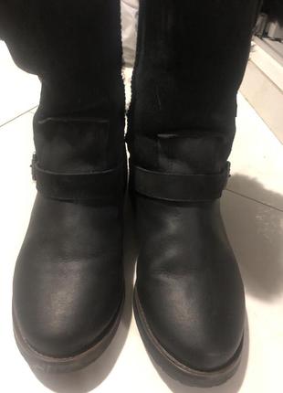 Зимние ботинки фирмы шарф ugg2 фото